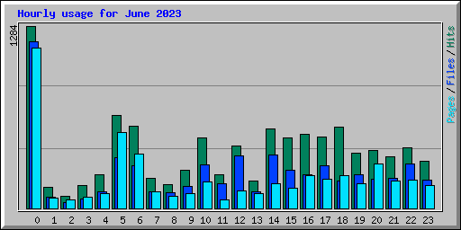 Hourly usage for June 2023