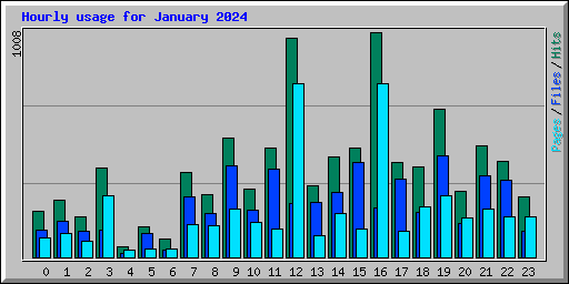 Hourly usage for January 2024