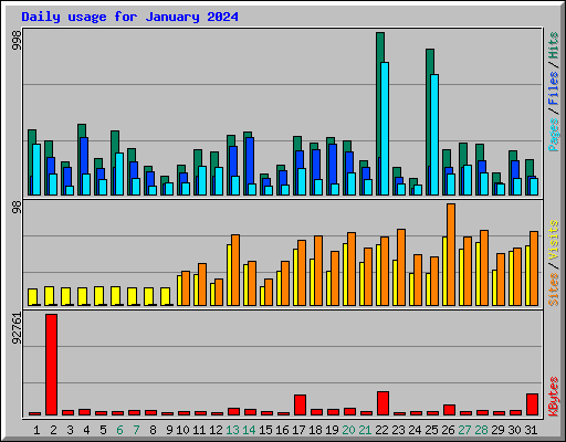 Daily usage for January 2024