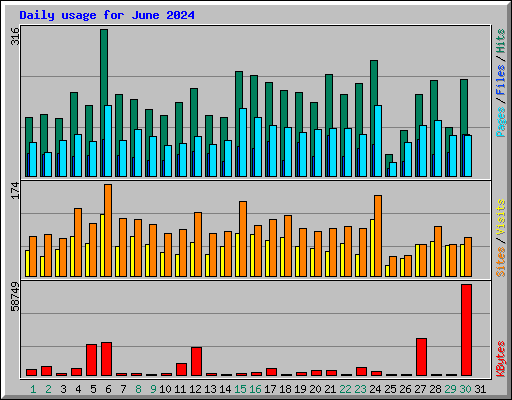 Daily usage for June 2024