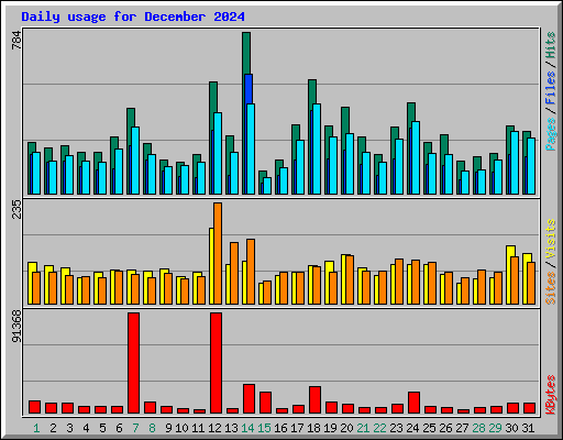 Daily usage for December 2024