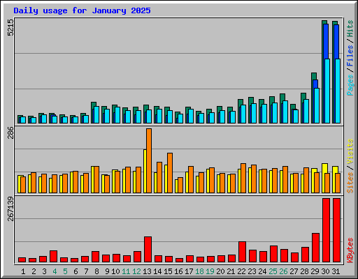 Daily usage for January 2025