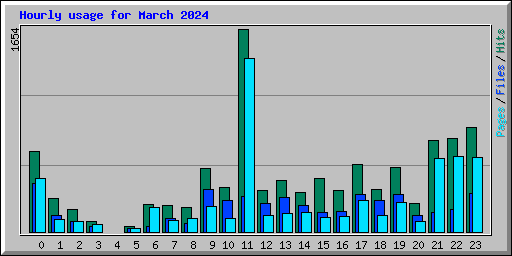 Hourly usage for March 2024