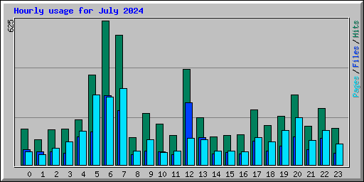 Hourly usage for July 2024