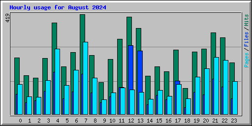 Hourly usage for August 2024