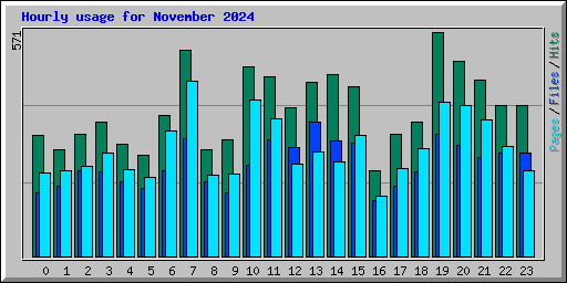 Hourly usage for November 2024