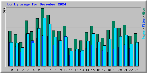 Hourly usage for December 2024