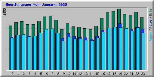 Hourly usage for January 2025