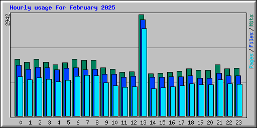 Hourly usage for February 2025