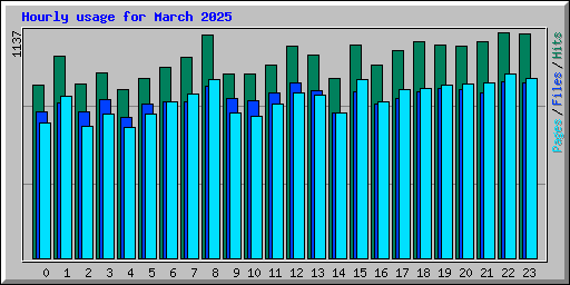 Hourly usage for March 2025