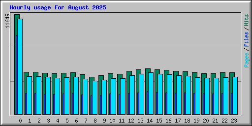 Hourly usage for August 2025